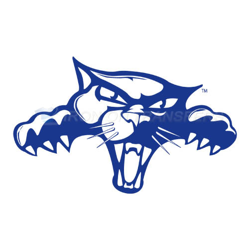 High Point Panthers Iron-on Stickers (Heat Transfers)NO.4547